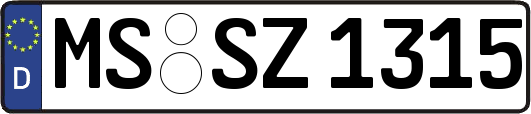 MS-SZ1315