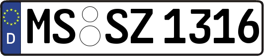 MS-SZ1316