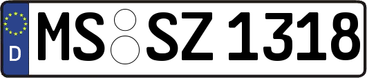 MS-SZ1318
