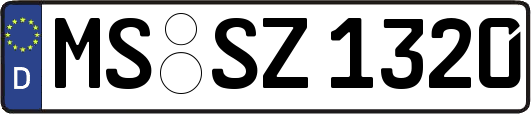 MS-SZ1320