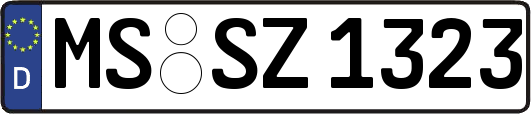 MS-SZ1323