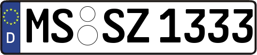 MS-SZ1333