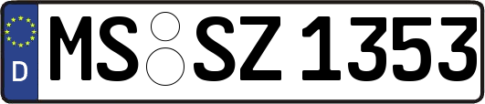 MS-SZ1353