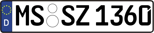 MS-SZ1360