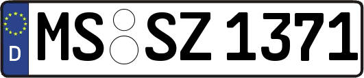 MS-SZ1371