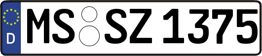 MS-SZ1375