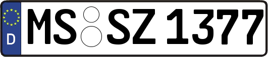 MS-SZ1377