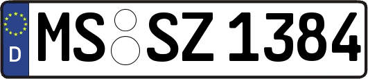 MS-SZ1384