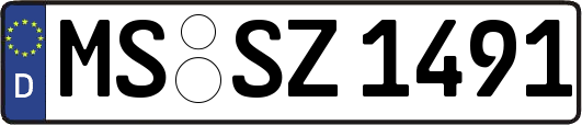 MS-SZ1491