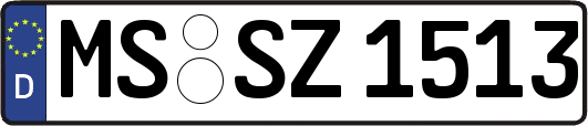 MS-SZ1513