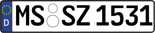 MS-SZ1531