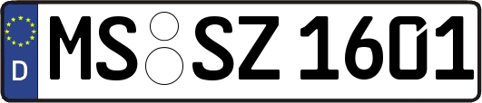MS-SZ1601