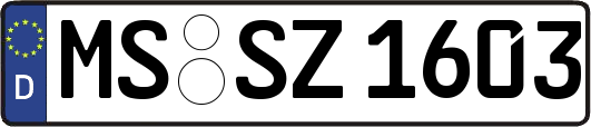 MS-SZ1603