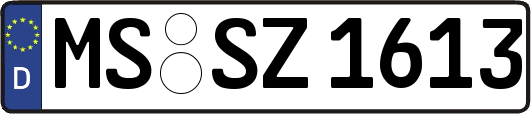 MS-SZ1613