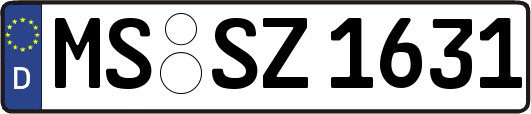 MS-SZ1631