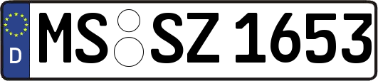 MS-SZ1653