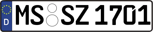 MS-SZ1701