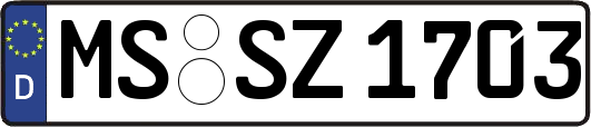 MS-SZ1703