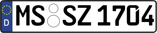 MS-SZ1704