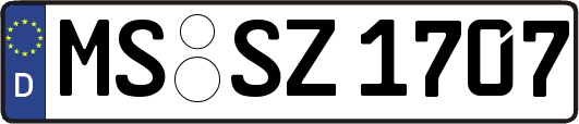 MS-SZ1707