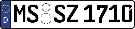 MS-SZ1710