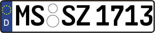 MS-SZ1713