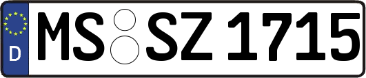 MS-SZ1715