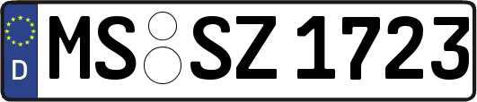 MS-SZ1723