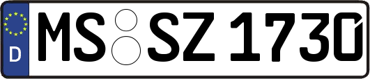 MS-SZ1730