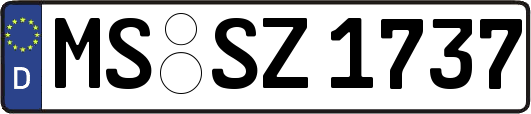 MS-SZ1737