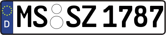 MS-SZ1787