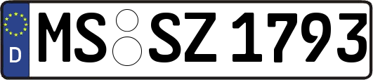 MS-SZ1793