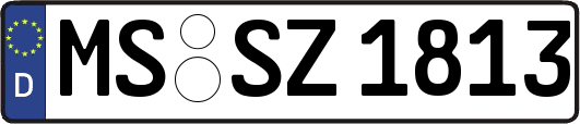 MS-SZ1813