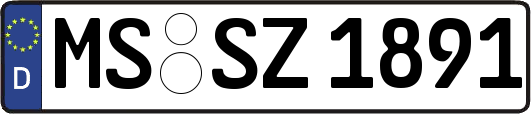 MS-SZ1891