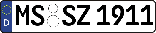 MS-SZ1911