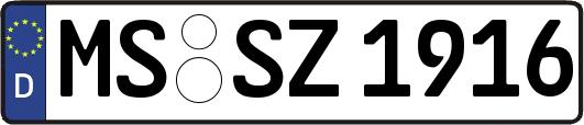 MS-SZ1916