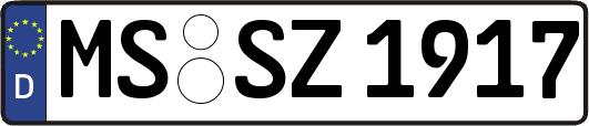 MS-SZ1917