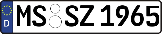 MS-SZ1965