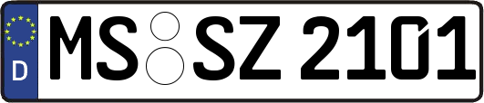 MS-SZ2101