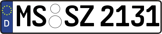 MS-SZ2131