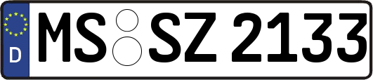 MS-SZ2133