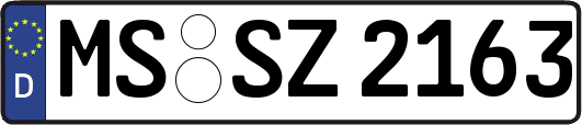 MS-SZ2163