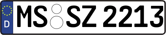 MS-SZ2213