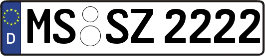 MS-SZ2222