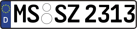 MS-SZ2313