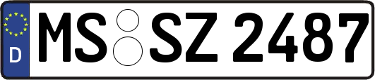 MS-SZ2487