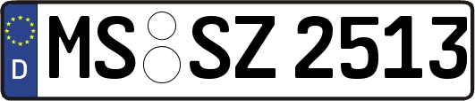MS-SZ2513