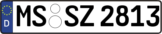 MS-SZ2813