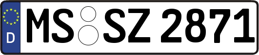MS-SZ2871