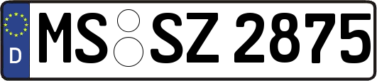 MS-SZ2875